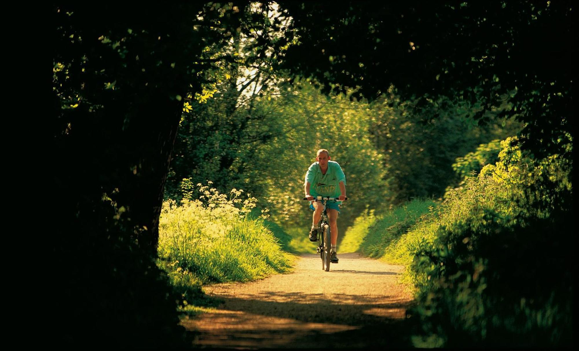 Dromroe Village University Of Limerick Bagian luar foto